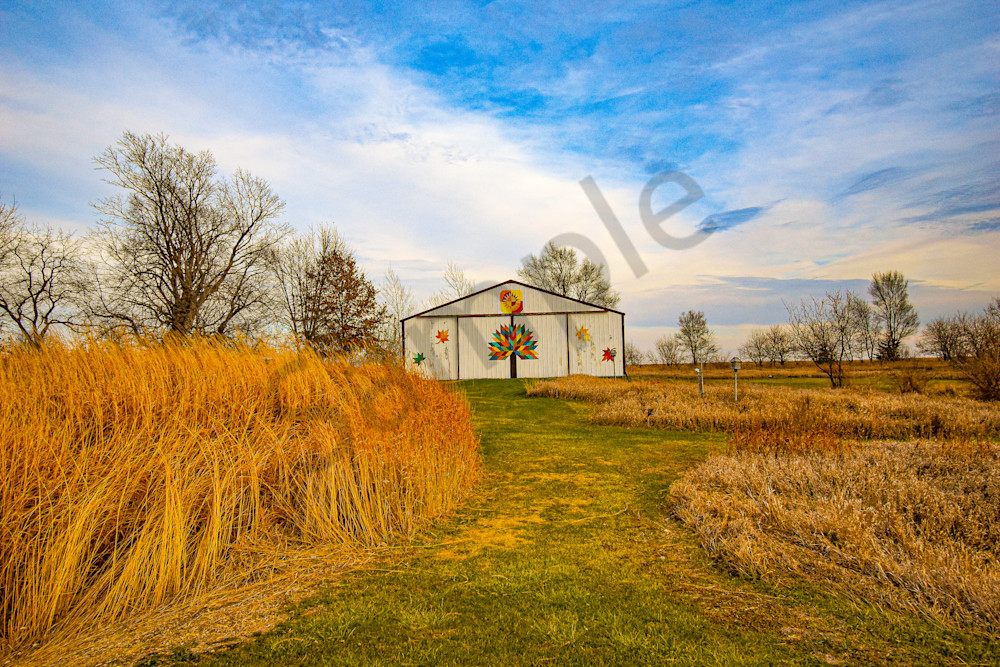 December 2024 303 Photography Art | Photos By Regan