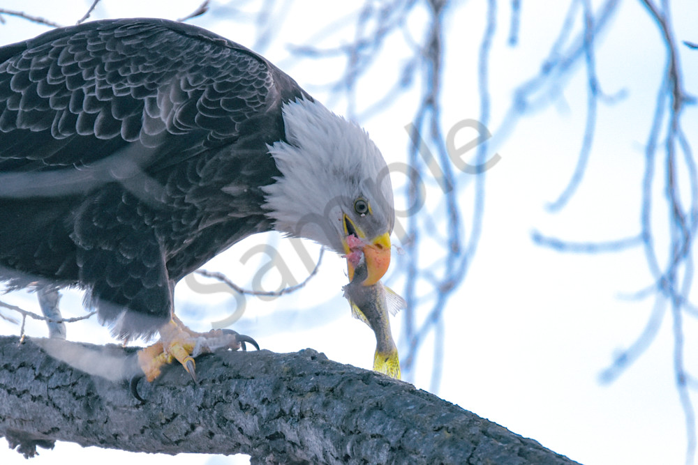 December 2024 400 Photography Art | Photos By Regan