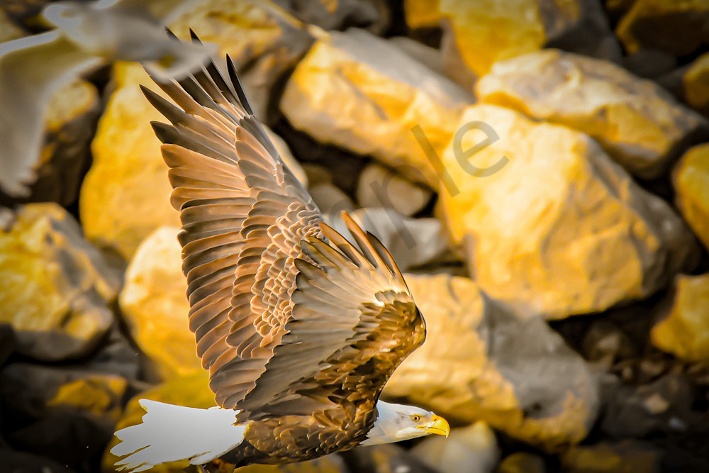 December 2024 422 Photography Art | Photos By Regan