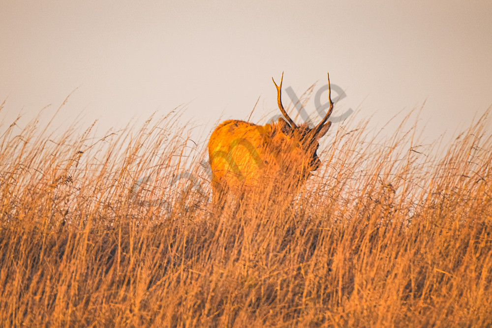 December 2024 447 Photography Art | Photos By Regan