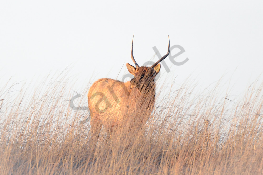 December 2024 449 Photography Art | Photos By Regan