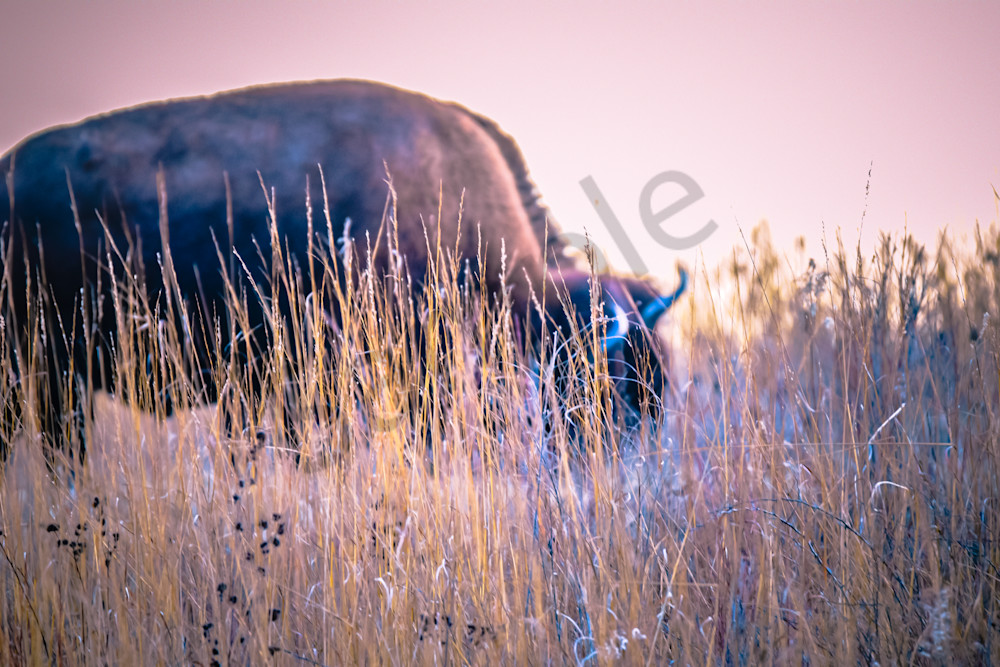 December 2024 468 Photography Art | Photos By Regan