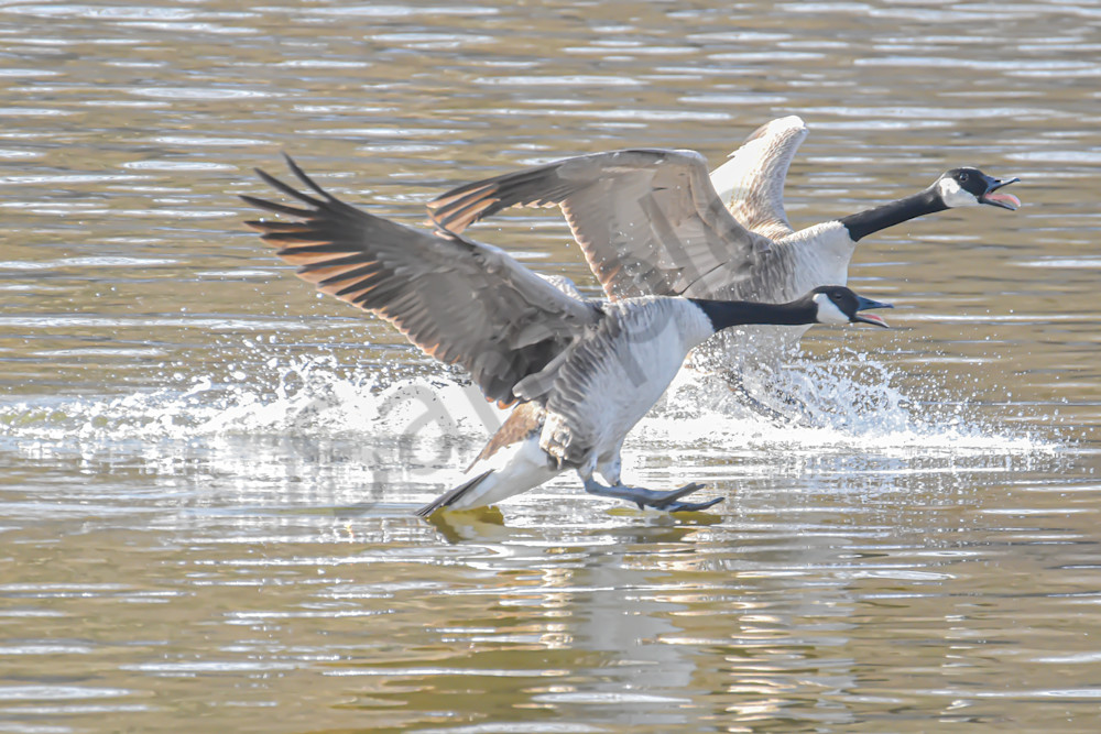 December 2025 8 Photography Art | Photos By Regan