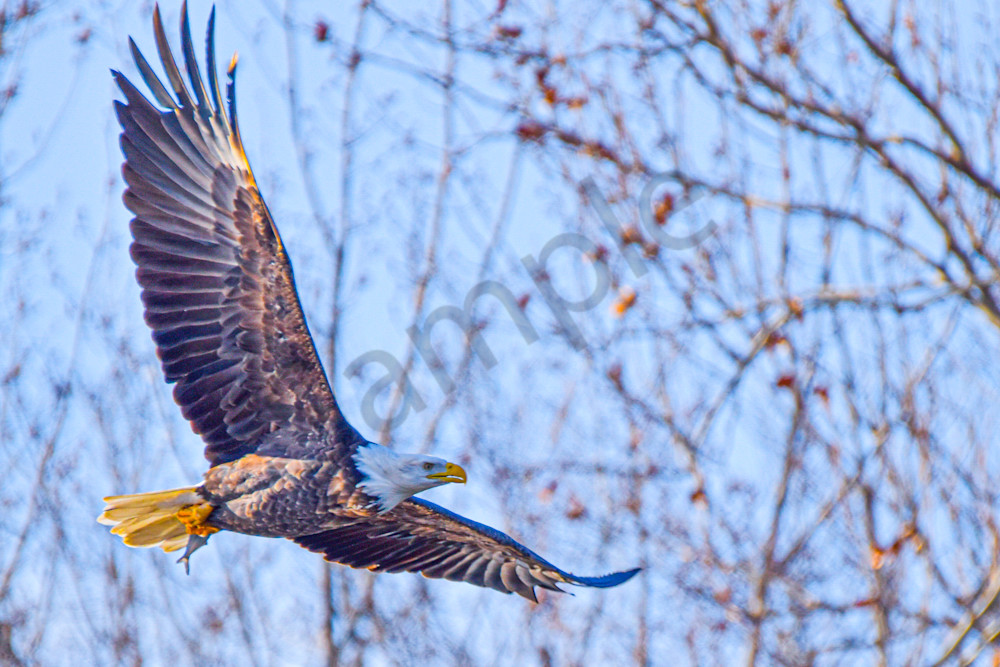 December 2025 45 Photography Art | Photos By Regan