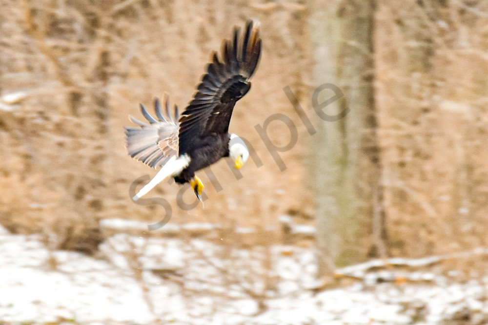 December 2025 83 Photography Art | Photos By Regan