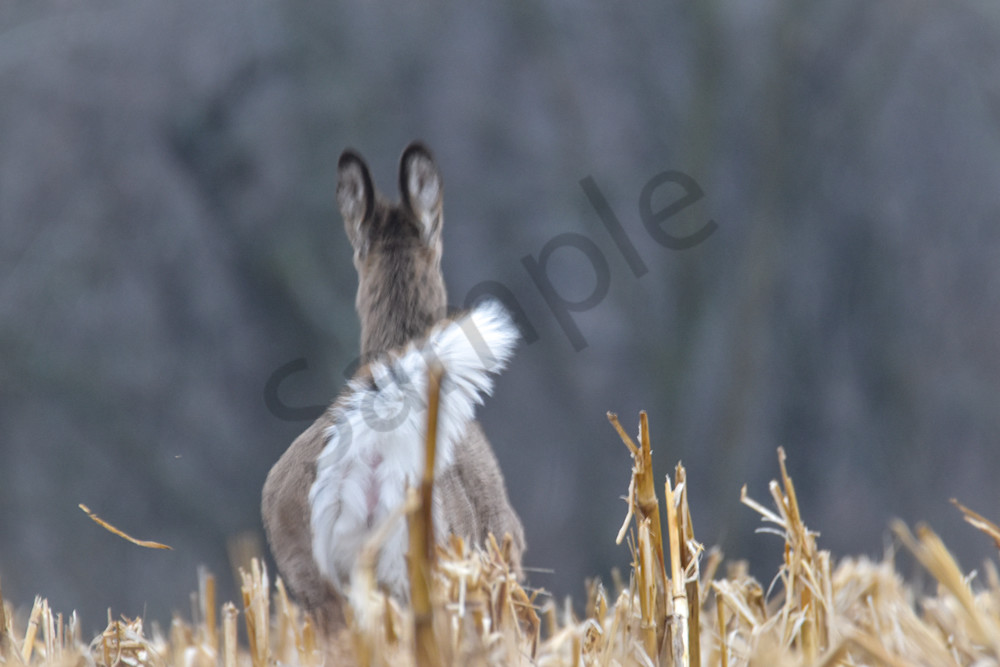 December 2025 100 Photography Art | Photos By Regan