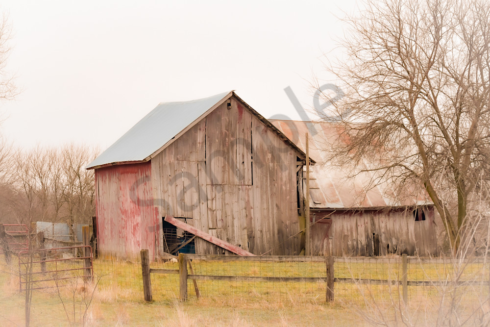 December 2025 115 Photography Art | Photos By Regan