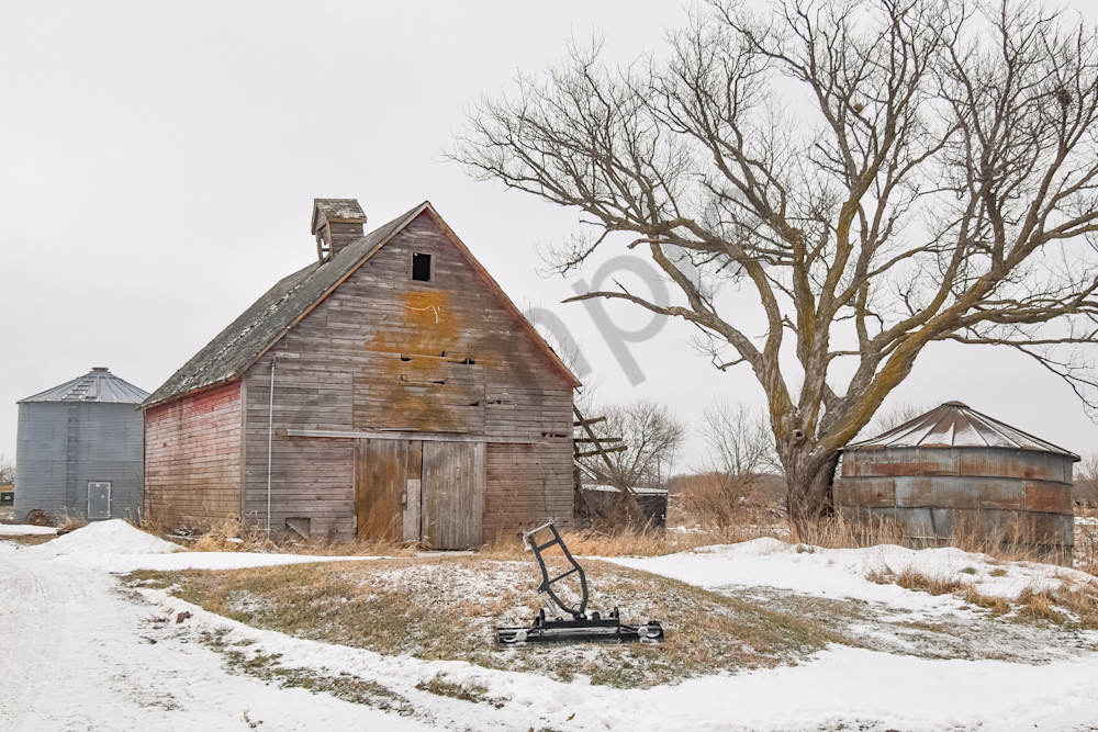 December 2025 631 Photography Art | Photos By Regan