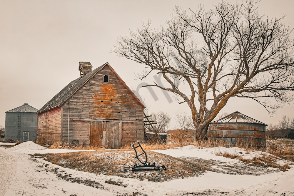 December 2025 630 Photography Art | Photos By Regan