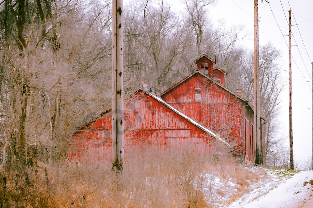 December 2025 647 Photography Art | Photos By Regan