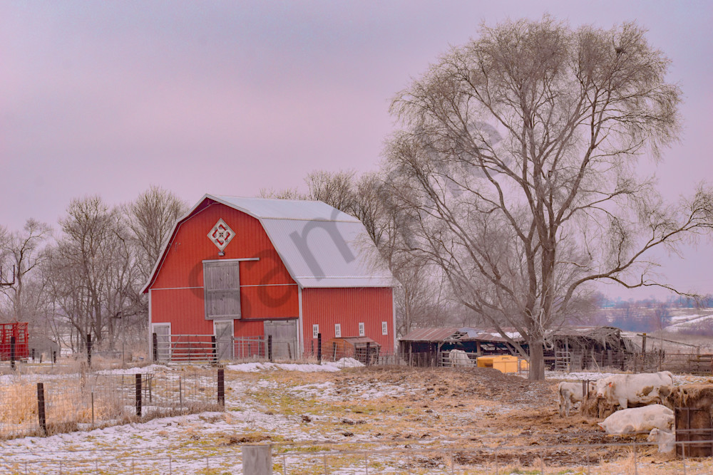 December 2025 662 Photography Art | Photos By Regan