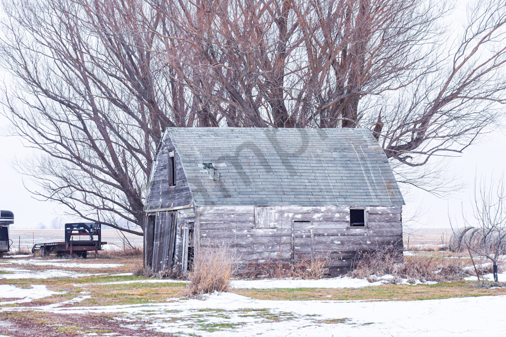 December 2025 696 Photography Art | Photos By Regan