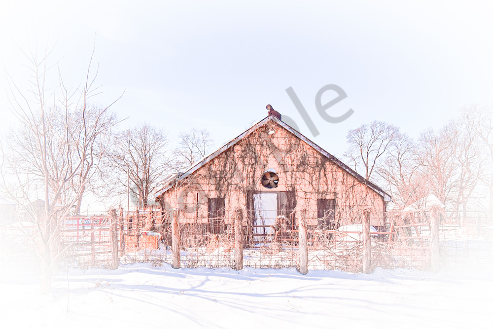 December 2025 848 Photography Art | Photos By Regan