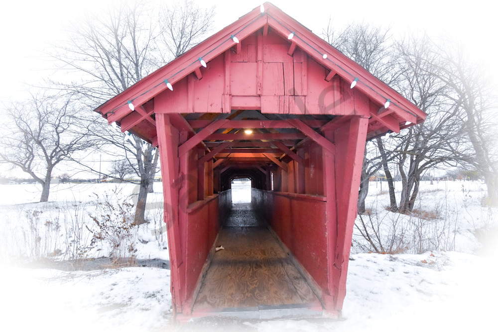 December 2025 877 Photography Art | Photos By Regan