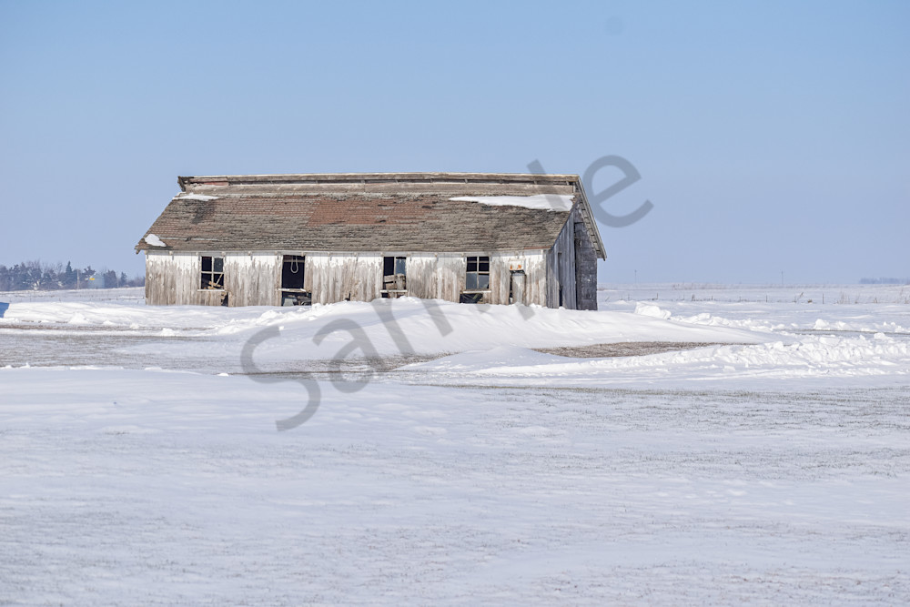 December 2025 896 Photography Art | Photos By Regan