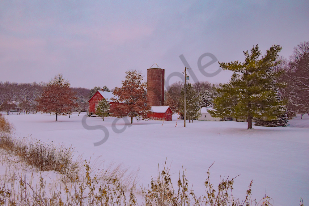 December 2025 935 Photography Art | Photos By Regan