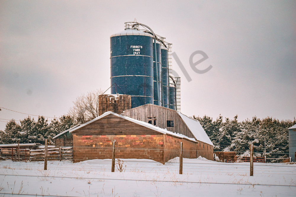 December 2025 931 Photography Art | Photos By Regan