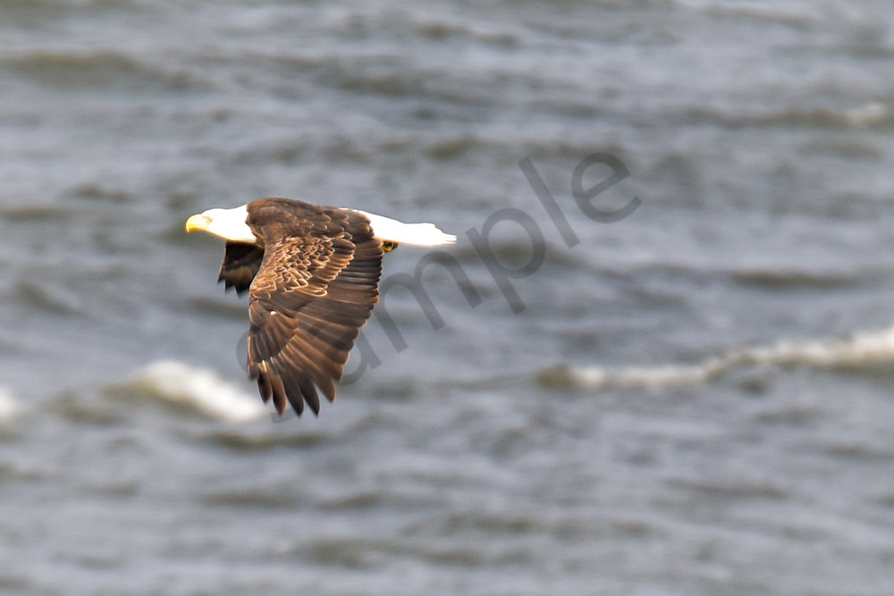 February 2024 138 Photography Art | Photos By Regan