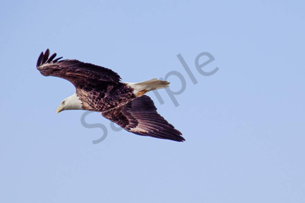 February 2024 3 Photography Art | Photos By Regan