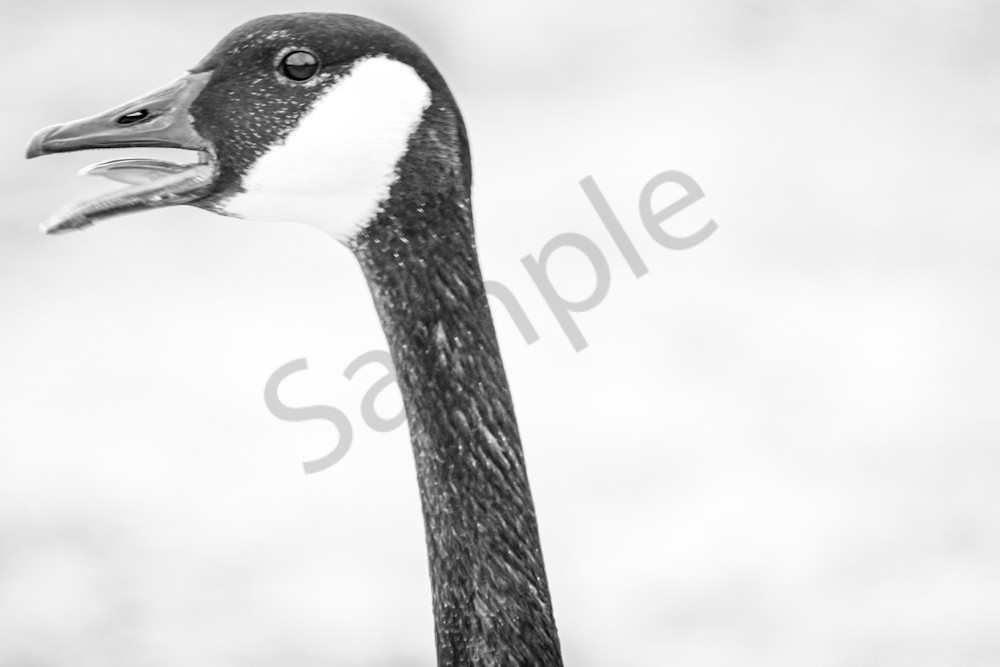 February 2024 571 Photography Art | Photos By Regan