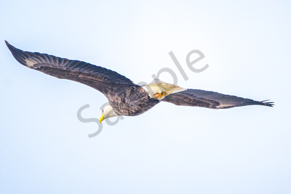 February 2024 24 Photography Art | Photos By Regan