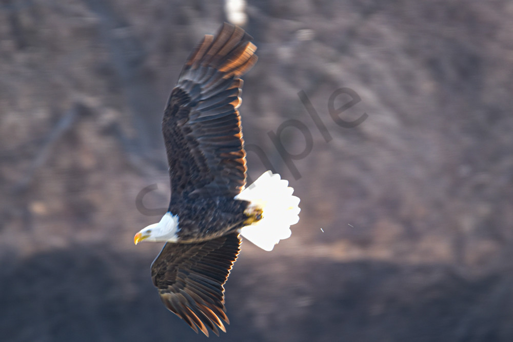 February 2024 530 Photography Art | Photos By Regan