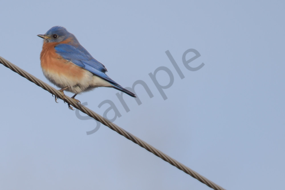 February 2024 822 Photography Art | Photos By Regan