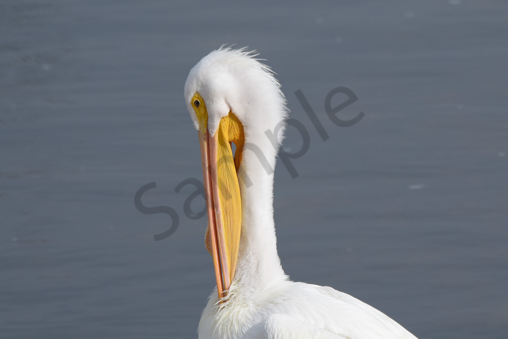 February 2024 857 Photography Art | Photos By Regan