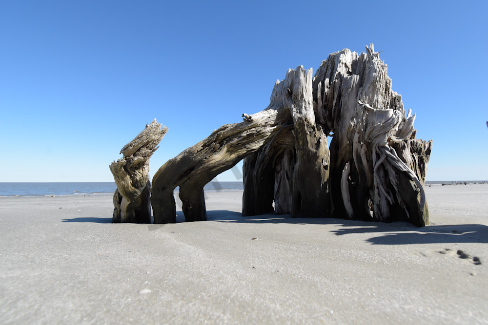 February 2025 26 Photography Art | Photos By Regan