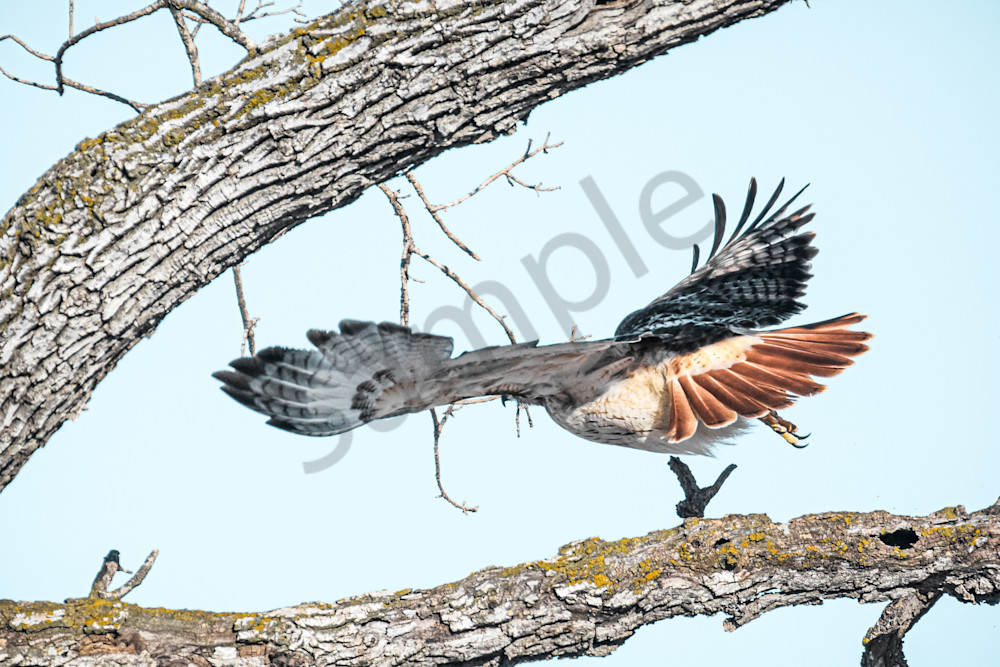 February 2025 173 Photography Art | Photos By Regan