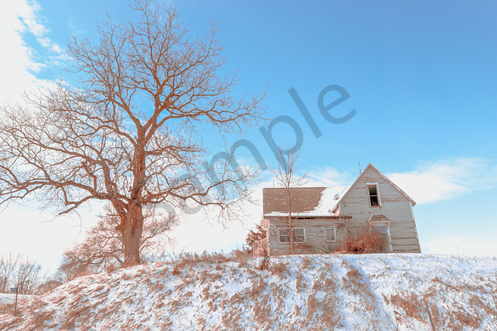 February 2025 194 Photography Art | Photos By Regan