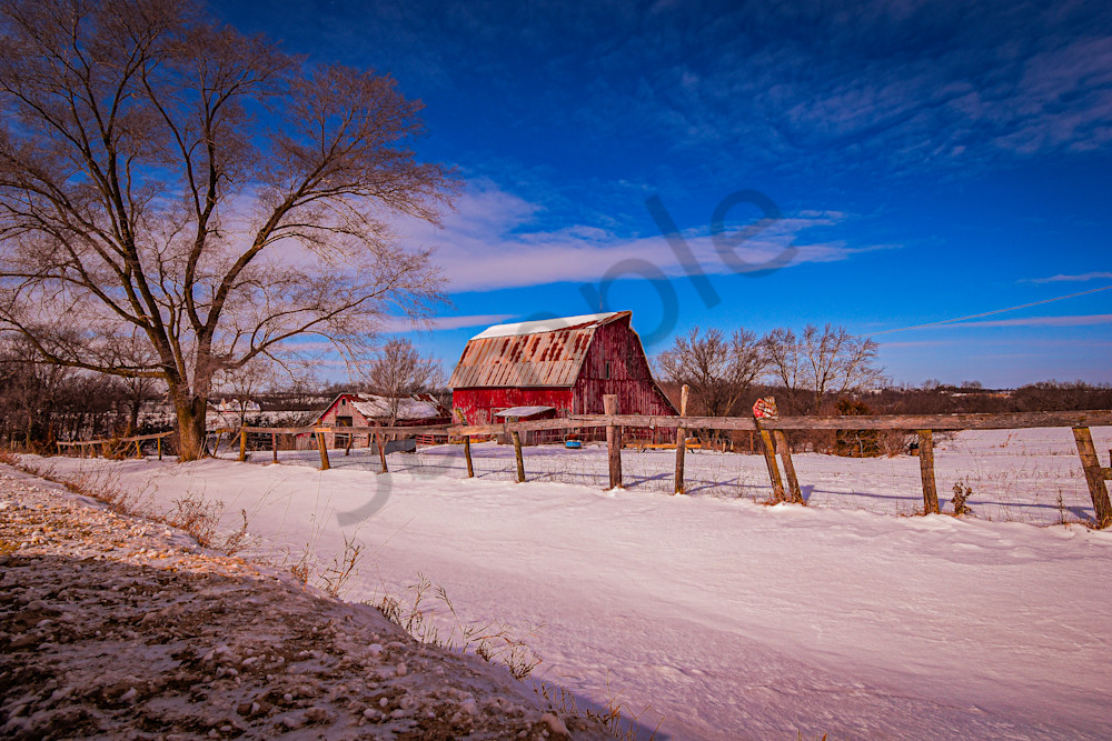 February 2025 196 Photography Art | Photos By Regan