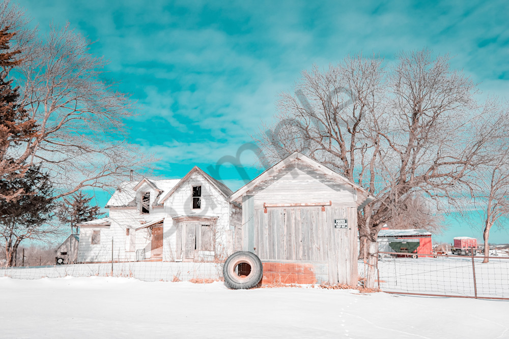 February 2025 206 Photography Art | Photos By Regan