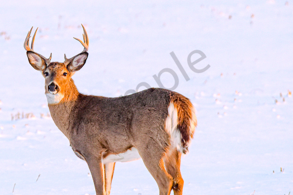 February 2025 221 Photography Art | Photos By Regan