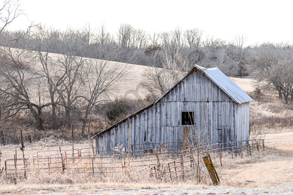 February 2025 281 Photography Art | Photos By Regan