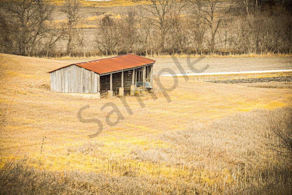 February 2025 302 Photography Art | Photos By Regan