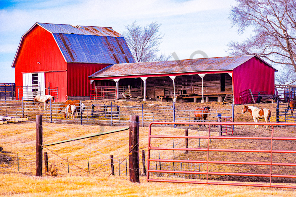 February 2025 304 Photography Art | Photos By Regan