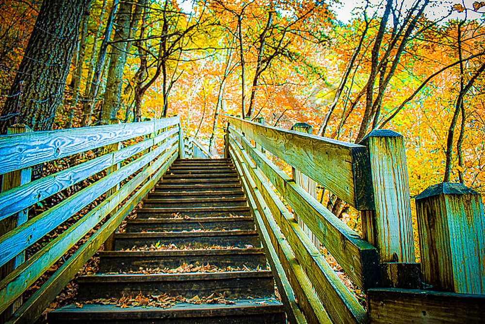 Full Year 2022 36 Photography Art | Photos By Regan