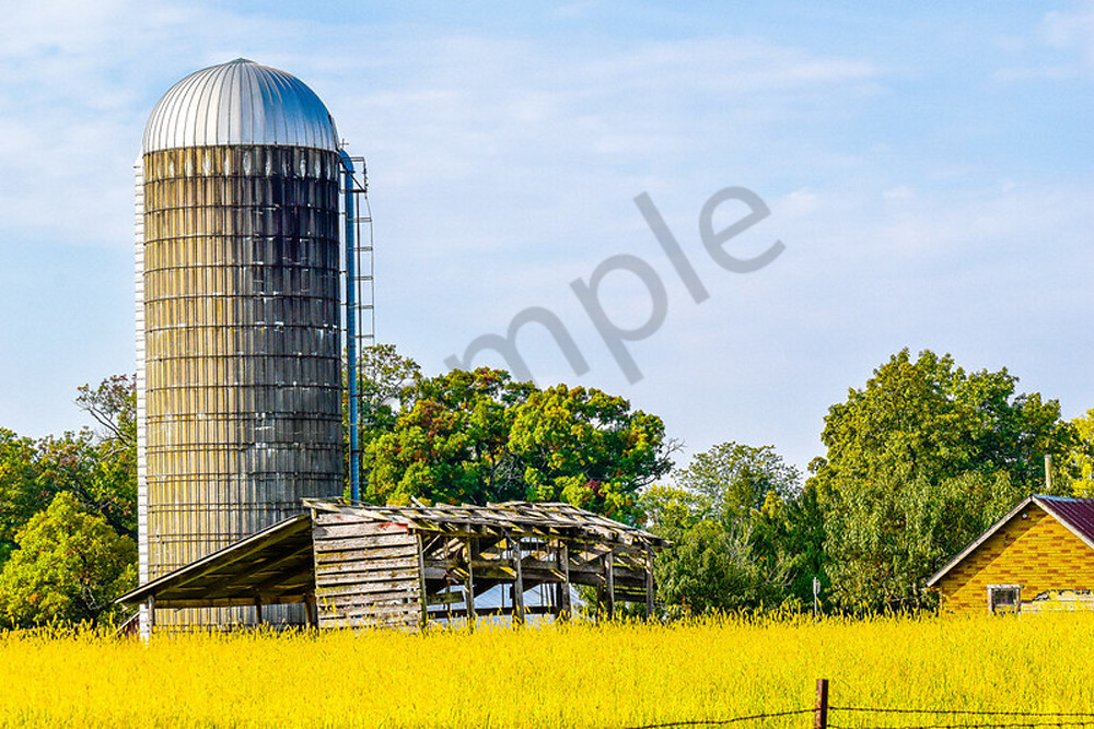 Full Year 2022 37 Photography Art | Photos By Regan