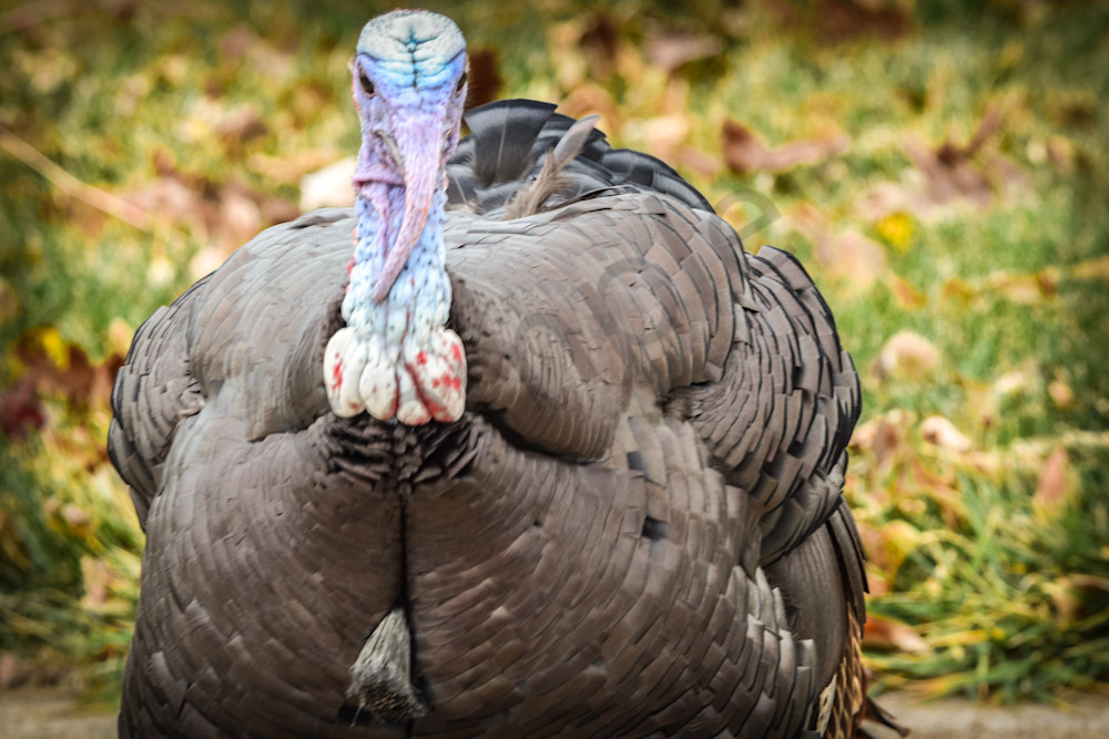 Full Year 2022 4 Photography Art | Photos By Regan