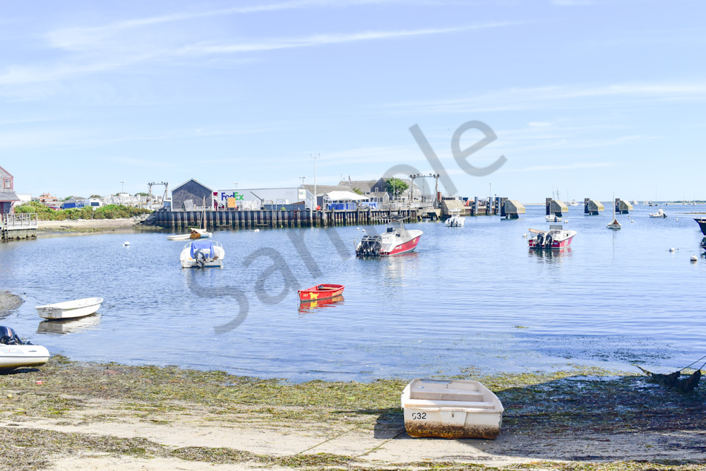 Full Year 2022 56 Photography Art | Photos By Regan