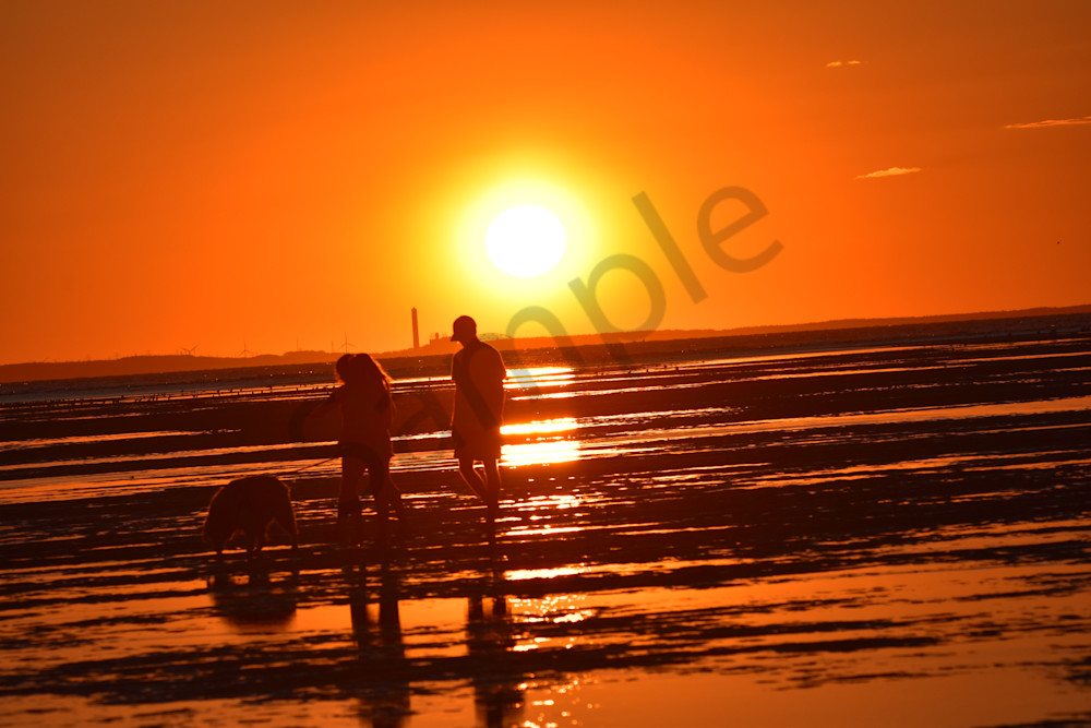 Full Year 2022 70 Photography Art | Photos By Regan