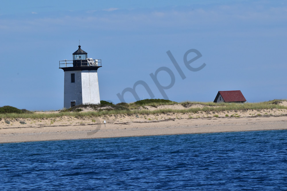 Full Year 2022 93 Photography Art | Photos By Regan