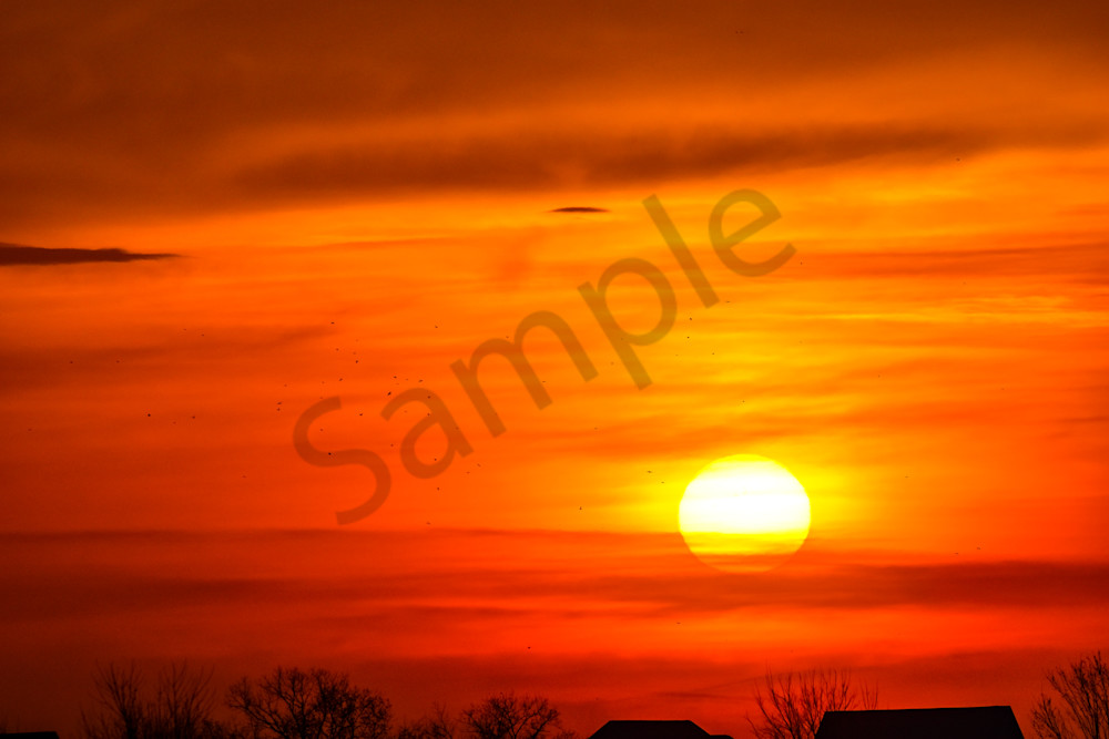 Full Year 2022 656 Photography Art | Photos By Regan