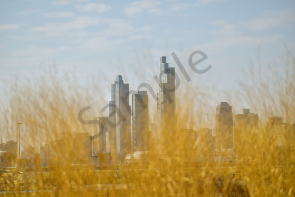 Full Year 2022 808 Photography Art | Photos By Regan