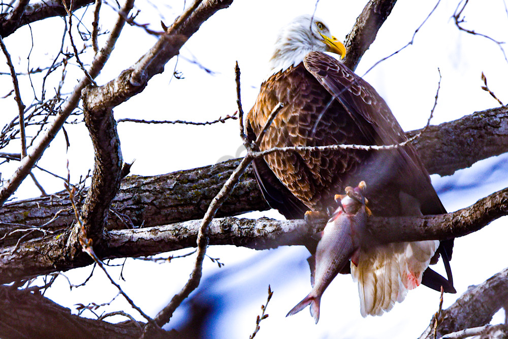 Full Year 2022 818 Photography Art | Photos By Regan