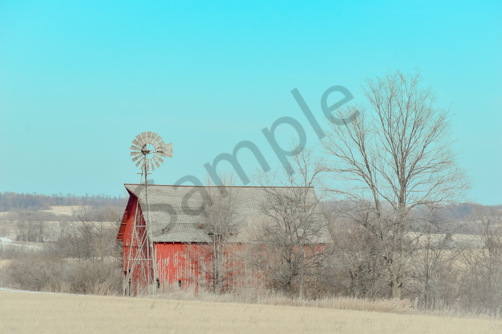 Full Year 2022 1132 Photography Art | Photos By Regan