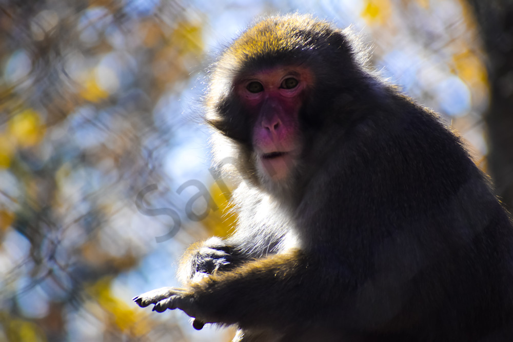 Full Year 2023 98 Photography Art | Photos By Regan