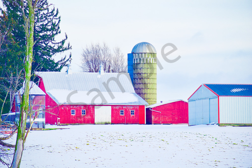 Full Year 2023 1 Photography Art | Photos By Regan