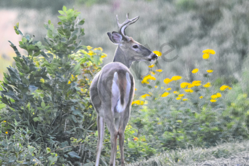 Full Year 2023 177 Photography Art | Photos By Regan